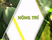 thumb_Screenshot (84)_TlYxJb4HgD.png
