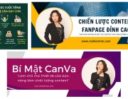Hồ sơ năng lực quản l&yacute; fanpage.png