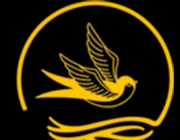 logo142x142.png