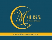 visit card mailisa-01.jpg