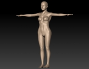 a2.png