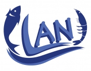 LAN.png