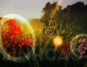 IDENTS - Weather - QPVN - 2013.00_00_03_05.Still001.jpg