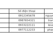 Mau_nhap_lieu.png
