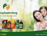 banner website-01.png
