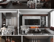 Penthouse hien dai.jpg