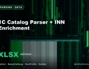 real_5_parser_inn.png
