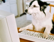 ComputerDog-3.jpg