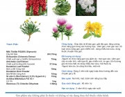Leaflet Livpro (final edit)-2.jpg