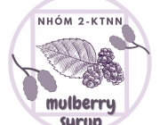 mulberry syrup.png