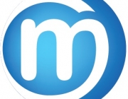 Maple 22.png