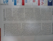 Sample article 3.JPG