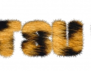 hairy.jpg