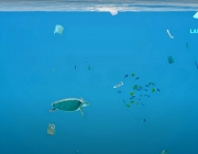 Ocean's polution.jpg