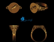 Horse ring.jpg