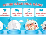 Banner gh1.png