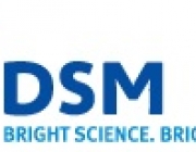 dsm.jpg