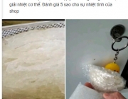 đ&aacute;nh gi&aacute; mao.jpg