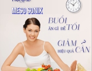 elise - meso sonix.png