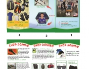 Brochure.jpg