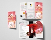 HnC-Trifold-Brochure.jpg