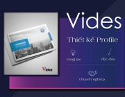 VIDES.png