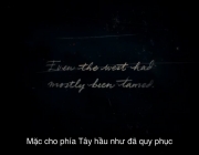 IMG_8024.PNG