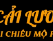logo-cai-luong-net.png