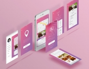Screen mockup.jpg