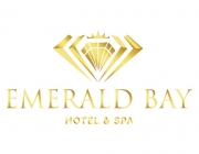 logo_EMERALD_X_nostar-01.jpg