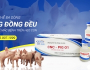 CNC-PIG-01.jpg