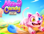 cover_meo.jpg