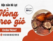 Hồng treo gi&oacute; mua ở đ&acirc;u TPHCM.jpg