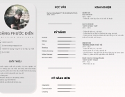 PHUOC DIEN DANG CV - viet_01.jpg