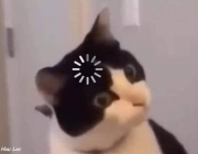 D00EA929-2217-4237-930F-D0C5806CE586.jpeg