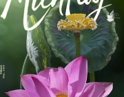 Screenshot (25).png