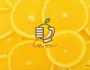 cam behance-02a.png