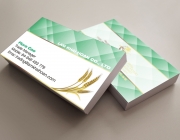Card Flyer Mockup.jpg