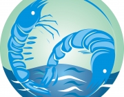 logo  1.jpg