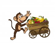 monkey2.png