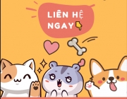 Ảnh chụp màn hình (667).png