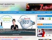 Internet marketing moa.png