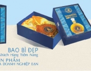 banner tke BAO BI BINH MINH-02-01.jpg