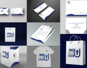 Brand-identity_CEDU.png