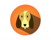 dog-01.jpg