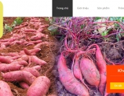 vietfruits.jpg