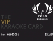 YOLO VIP CARD MT SLIVER.png