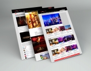 Perspective Web Design Mockup - topgo.jpg