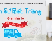 COVER GOM SU BAT TRANG 851 x 315PX.jpg