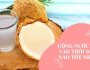 uong-nuoc-dua-vao-thoi-diem-nao-tot-nhat.jpg